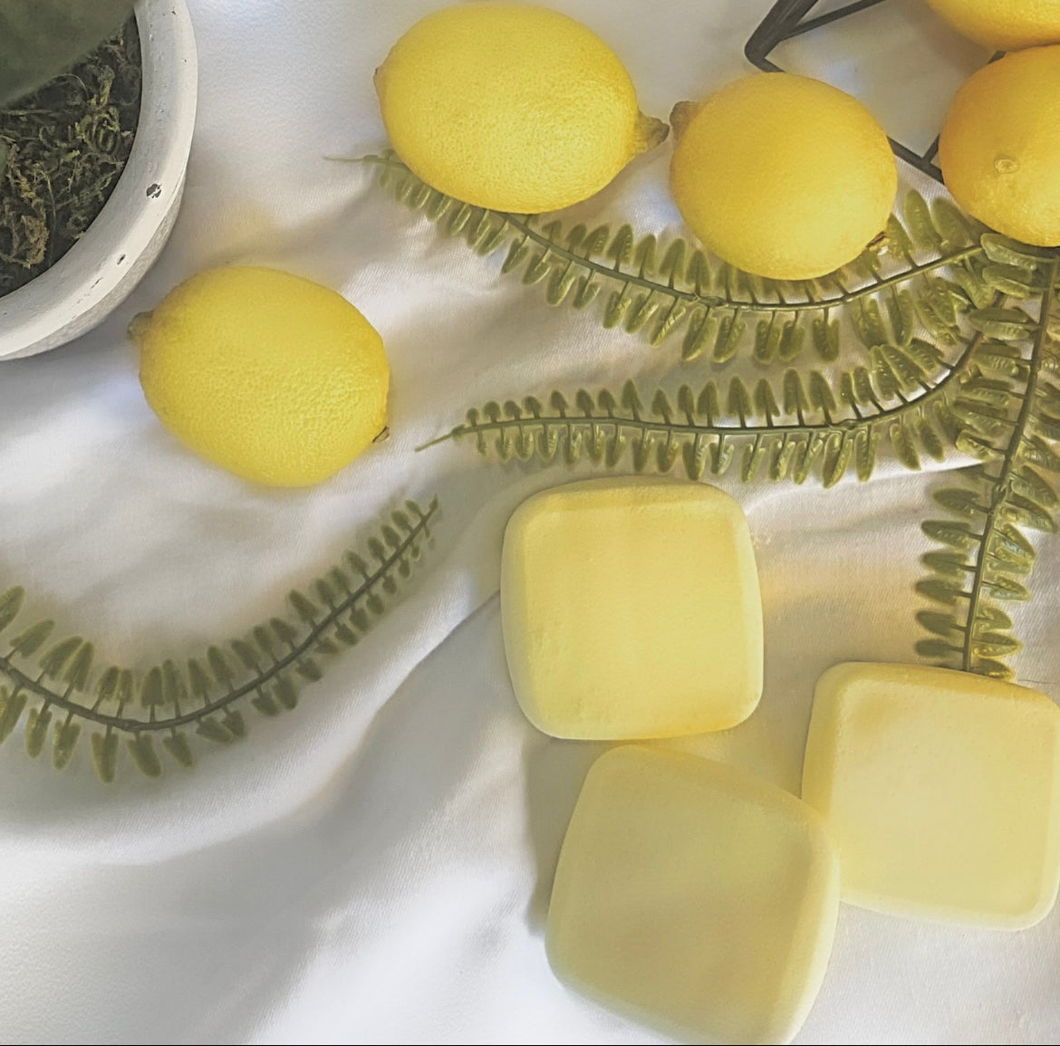 Lemon Burst Shower Shots